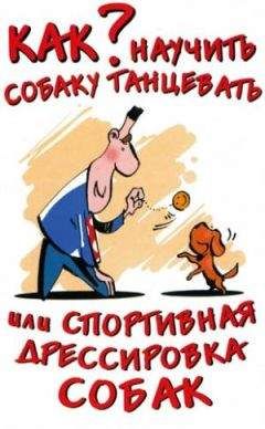О. Афанасьева - Как научить собаку танцевать, или Спортивная дрессировка собак - Читать | Читать онлайн | Читаемые книги читать онлайн бесплатно | booksread-online.com