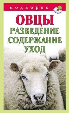 Тамара Мороз - Овцы. Разведение. Содержание. Уход - Читать 📖 Читать онлайн 👀 Читаемые книги читать онлайн бесплатно 🔥 booksread-online.com