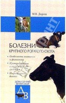 Мария Дорош - Болезни крупного рогатого скота - Читать 📖 Читать онлайн 👀 Читаемые книги читать онлайн бесплатно 🔥 booksread-online.com