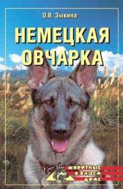 Ольга Зыкина - Немецкая овчарка - Читать 📖 Читать онлайн 👀 Читаемые книги читать онлайн бесплатно 🔥 booksread-online.com
