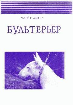 Дитер Флейг - Бультерьер - Читать 📖 Читать онлайн 👀 Читаемые книги читать онлайн бесплатно 🔥 booksread-online.com