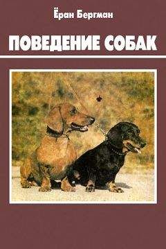 Ёран Бергман - Поведение собак - Читать 📖 Читать онлайн 👀 Читаемые книги читать онлайн бесплатно 🔥 booksread-online.com