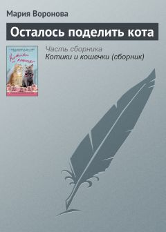 Мария Воронова - Осталось поделить кота - Читать 📖 Читать онлайн 👀 Читаемые книги читать онлайн бесплатно 🔥 booksread-online.com