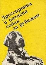 Ф. Грандерат - Выращивание, воспитание, дрессировка и натаска охотничьей собаки за рубежом - Читать 📖 Читать онлайн 👀 Читаемые книги читать онлайн бесплатно 🔥 booksread-online.com