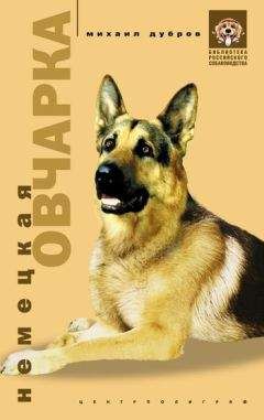 Михаил Дубров - Немецкая овчарка - Читать 📖 Читать онлайн 👀 Читаемые книги читать онлайн бесплатно 🔥 booksread-online.com