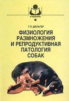Георгий Дюльгер - Физиология размножения и репродуктивная патология собак - Читать | Читать онлайн | Читаемые книги читать онлайн бесплатно | booksread-online.com