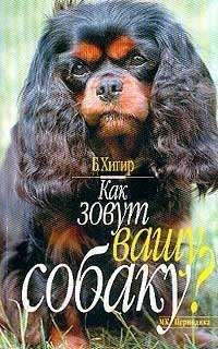 Борис Хигир - Как зовут вашу собаку - Читать 📖 Читать онлайн 👀 Читаемые книги читать онлайн бесплатно 🔥 booksread-online.com