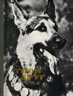 К. Глиер - Твой друг (Сборник по собаководству, 1973 г.) - Читать 📖 Читать онлайн 👀 Читаемые книги читать онлайн бесплатно 🔥 booksread-online.com