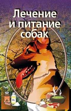Илья Мельников - Лечение и питание собак - Читать 📖 Читать онлайн 👀 Читаемые книги читать онлайн бесплатно 🔥 booksread-online.com
