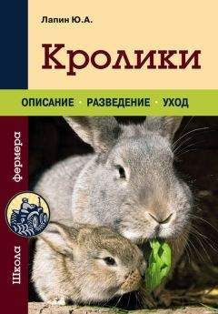 Юрий Лапин - Кролики - Читать | Читать онлайн | Читаемые книги читать онлайн бесплатно | booksread-online.com