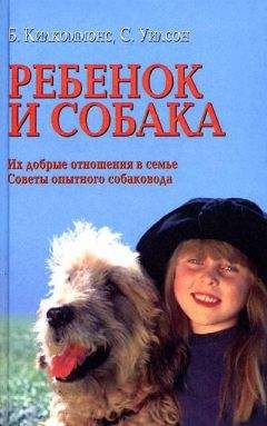 Брайен Килкоммонс - Ребенок и собака [Их добрые отношения. Советы опытного собаковода] - Читать 📖 Читать онлайн 👀 Читаемые книги читать онлайн бесплатно 🔥 booksread-online.com