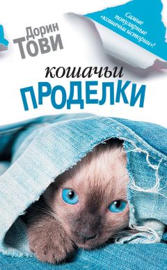Дорин Тови - Кошачьи проделки (сборник) - Читать 📖 Читать онлайн 👀 Читаемые книги читать онлайн бесплатно 🔥 booksread-online.com