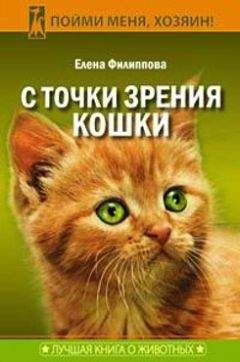 Елена Филиппова - С точки зрения Кошки - Читать 📖 Читать онлайн 👀 Читаемые книги читать онлайн бесплатно 🔥 booksread-online.com