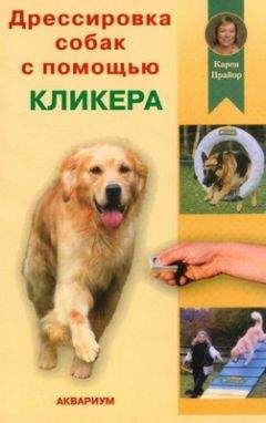 Карен Прайор - Дрессировка собак с помощью кликера - Читать | Читать онлайн | Читаемые книги читать онлайн бесплатно | booksread-online.com