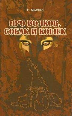 Елена Мычко - Про волков, собак и кошек - Читать 📖 Читать онлайн 👀 Читаемые книги читать онлайн бесплатно 🔥 booksread-online.com
