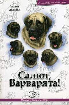 Галина Исакова - Салют, Варварята! - Читать 📖 Читать онлайн 👀 Читаемые книги читать онлайн бесплатно 🔥 booksread-online.com