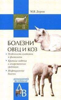 Мария Дорош - Болезни овец и коз - Читать 📖 Читать онлайн 👀 Читаемые книги читать онлайн бесплатно 🔥 booksread-online.com