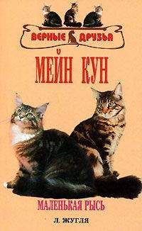 Л. Жугля - Мейн кун - Читать 📖 Читать онлайн 👀 Читаемые книги читать онлайн бесплатно 🔥 booksread-online.com