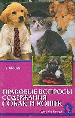 Владимир Беляев - Правовые вопросы содержания собак и кошек - Читать | Читать онлайн | Читаемые книги читать онлайн бесплатно | booksread-online.com