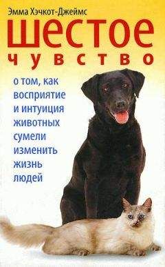 Эмма Хэчкот-Джеймс - Шестое чувство. О том, как восприятие и интуиция животных сумели изменить жизнь людей - Читать 📖 Читать онлайн 👀 Читаемые книги читать онлайн бесплатно 🔥 booksread-online.com