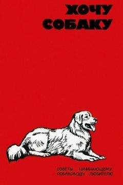 В. Шестаков - Хочу собаку. Советы начинающему собаководу-любителю (Сборник) - Читать 📖 Читать онлайн 👀 Читаемые книги читать онлайн бесплатно 🔥 booksread-online.com