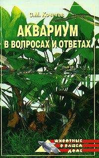 Сергей Кочетов - Аквариум в вопросах и ответах - Читать 📖 Читать онлайн 👀 Читаемые книги читать онлайн бесплатно 🔥 booksread-online.com