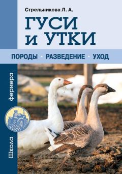 Любовь Стрельникова - Гуси и утки - Читать 📖 Читать онлайн 👀 Читаемые книги читать онлайн бесплатно 🔥 booksread-online.com