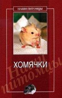 Дарья Нестерова - Хомячки - Читать 📖 Читать онлайн 👀 Читаемые книги читать онлайн бесплатно 🔥 booksread-online.com