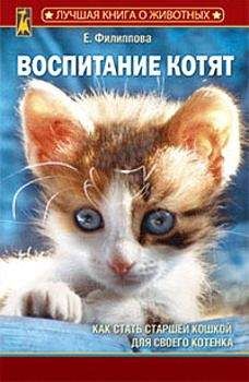 Елена Филиппова - Воспитание котят - Читать 📖 Читать онлайн 👀 Читаемые книги читать онлайн бесплатно 🔥 booksread-online.com