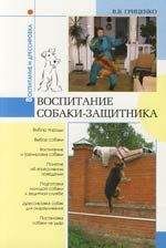 В. Гриценко - Воспитание собаки-защитника - Читать 📖 Читать онлайн 👀 Читаемые книги читать онлайн бесплатно 🔥 booksread-online.com