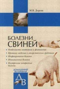 Мария Дорош - Болезни свиней - Читать 📖 Читать онлайн 👀 Читаемые книги читать онлайн бесплатно 🔥 booksread-online.com