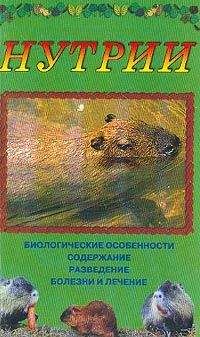 Дарья Нестерова - Нутрии - Читать 📖 Читать онлайн 👀 Читаемые книги читать онлайн бесплатно 🔥 booksread-online.com