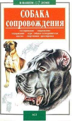Валерий Высоцкий - Собака сопровождения - Читать 📖 Читать онлайн 👀 Читаемые книги читать онлайн бесплатно 🔥 booksread-online.com