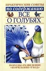 Светлана Бондаренко - Все о голубях - Читать 📖 Читать онлайн 👀 Читаемые книги читать онлайн бесплатно 🔥 booksread-online.com