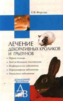 Елена Фирсова - Лечение декоративных кроликов и грызунов - Читать 📖 Читать онлайн 👀 Читаемые книги читать онлайн бесплатно 🔥 booksread-online.com