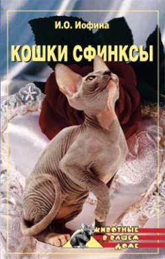 Дарья Нестерова - Кошки – сфинксы - Читать 📖 Читать онлайн 👀 Читаемые книги читать онлайн бесплатно 🔥 booksread-online.com