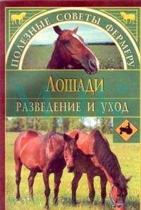 Алексей Герасимов - Лошади - Читать 📖 Читать онлайн 👀 Читаемые книги читать онлайн бесплатно 🔥 booksread-online.com