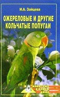 Ирина Зайцева - Ожереловые и другие кольчатые попугаи - Читать 📖 Читать онлайн 👀 Читаемые книги читать онлайн бесплатно 🔥 booksread-online.com