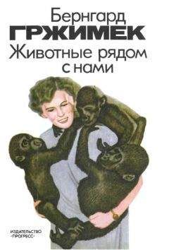 Бернгард Гржимек - Животные рядом с нами - Читать | Читать онлайн | Читаемые книги читать онлайн бесплатно | booksread-online.com