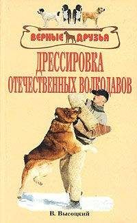 Валерий Высоцкий - Дрессировка отечественных волкодавов - Читать 📖 Читать онлайн 👀 Читаемые книги читать онлайн бесплатно 🔥 booksread-online.com