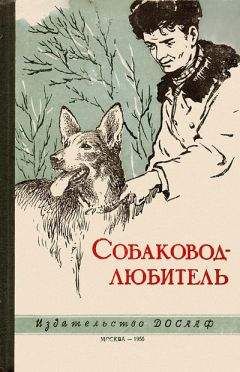 Владимир Бочаров - Собаковод-любитель - Читать 📖 Читать онлайн 👀 Читаемые книги читать онлайн бесплатно 🔥 booksread-online.com