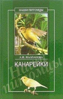 Линиза Жалпанова - Канарейки - Читать 📖 Читать онлайн 👀 Читаемые книги читать онлайн бесплатно 🔥 booksread-online.com