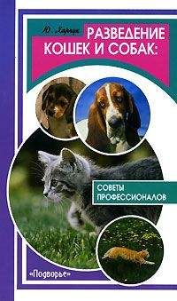 Юрий Харчук - Разведение кошек и собак. Советы профессионалов - Читать 📖 Читать онлайн 👀 Читаемые книги читать онлайн бесплатно 🔥 booksread-online.com