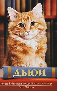 Вики Майрон - Дьюи. Кот из библиотеки, который потряс весь мир - Читать 📖 Читать онлайн 👀 Читаемые книги читать онлайн бесплатно 🔥 booksread-online.com