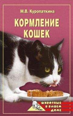 Марина Куропаткина - Кормление кошек - Читать 📖 Читать онлайн 👀 Читаемые книги читать онлайн бесплатно 🔥 booksread-online.com