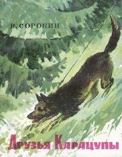 Василий Сорокин - Друзья Карацупы - Читать 📖 Читать онлайн 👀 Читаемые книги читать онлайн бесплатно 🔥 booksread-online.com