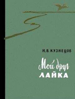 Николай Кузнецов - Мой друг лайка - Читать 📖 Читать онлайн 👀 Читаемые книги читать онлайн бесплатно 🔥 booksread-online.com