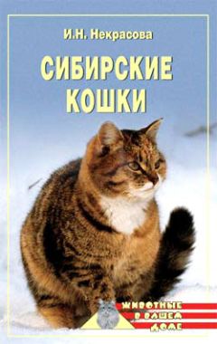 Ирина Некрасова - Сибирские кошки - Читать 📖 Читать онлайн 👀 Читаемые книги читать онлайн бесплатно 🔥 booksread-online.com