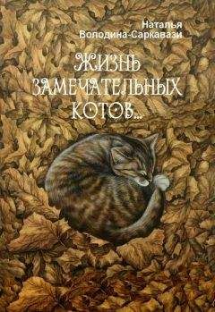 Наталья Володина-Саркавази - Жизнь замечательных котов… - Читать | Читать онлайн | Читаемые книги читать онлайн бесплатно | booksread-online.com