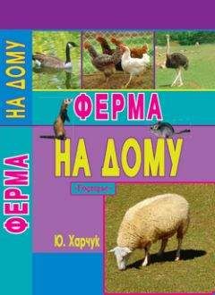 Юрий Харчук - Ферма на дому - Читать 📖 Читать онлайн 👀 Читаемые книги читать онлайн бесплатно 🔥 booksread-online.com